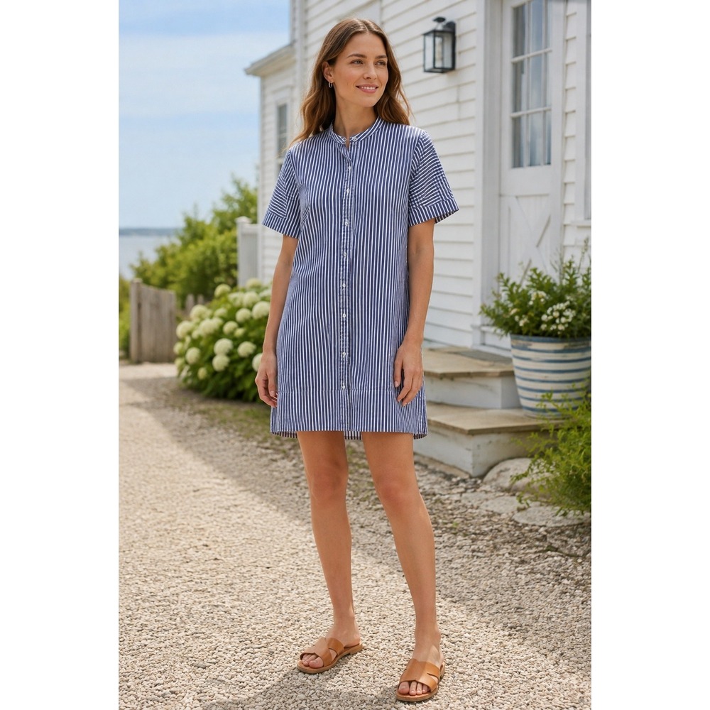 Everlane Blue White Striped Cotton Short Sleeve Banded Collar Shirt Dress Size 4